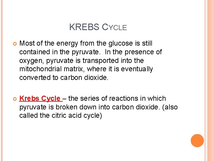KREBS CYCLE Most of the energy from the glucose is still contained in the KREBS CYCLE Most of the energy from the glucose is still contained in the