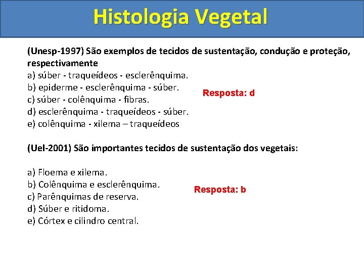 Histologia Vegetal (Unesp-1997) São exemplos de tecidos de sustentação, condução e proteção, respectivamente a)