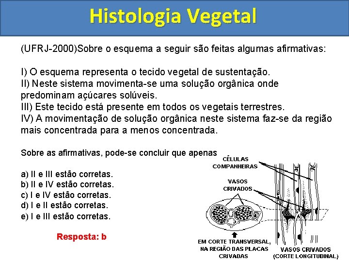 Histologia Vegetal (UFRJ-2000)Sobre o esquema a seguir são feitas algumas afirmativas: I) O esquema
