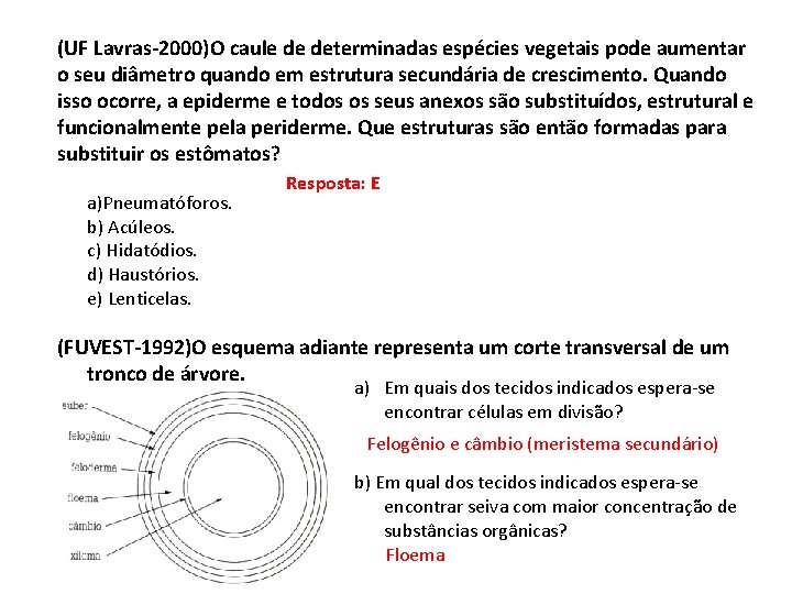 (UF Lavras-2000)O caule de determinadas espécies vegetais pode aumentar o seu diâmetro quando em