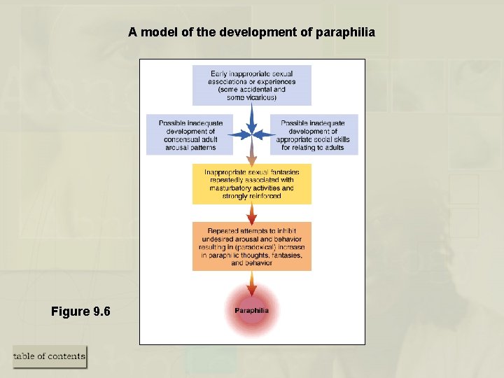 A model of the development of paraphilia Figure 9. 6 