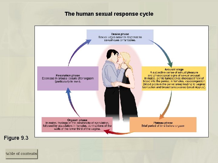 The human sexual response cycle Figure 9. 3 