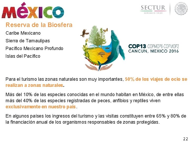 Reserva de la Biosfera Caribe Mexicano Sierra de Tamaulipas Pacífico Mexicano Profundo Islas del Reserva de la Biosfera Caribe Mexicano Sierra de Tamaulipas Pacífico Mexicano Profundo Islas del