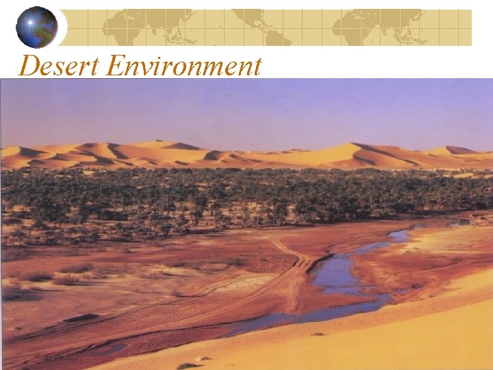 Desert Environment 