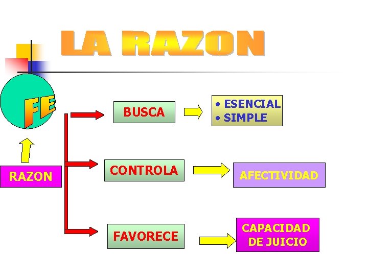 BUSCA RAZON • ESENCIAL • SIMPLE CONTROLA AFECTIVIDAD FAVORECE CAPACIDAD DE JUICIO 