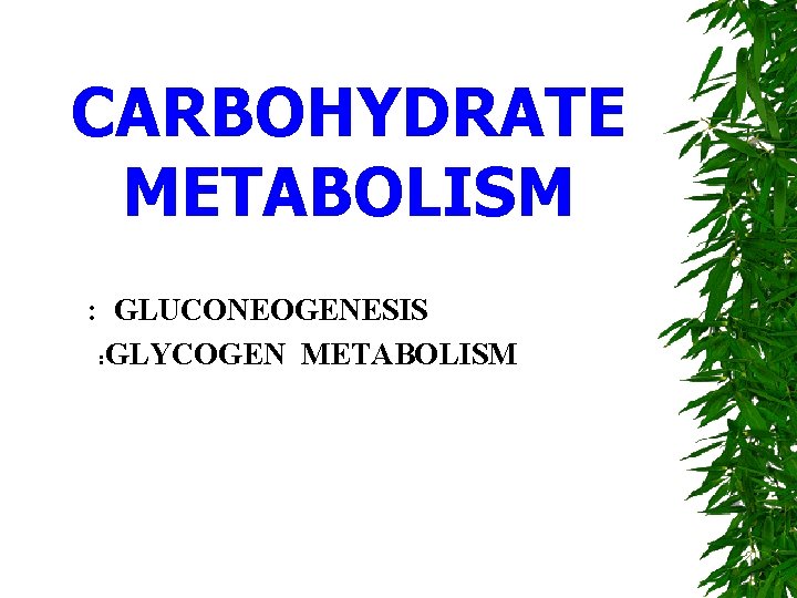 CARBOHYDRATE METABOLISM : GLUCONEOGENESIS : GLYCOGEN METABOLISM 