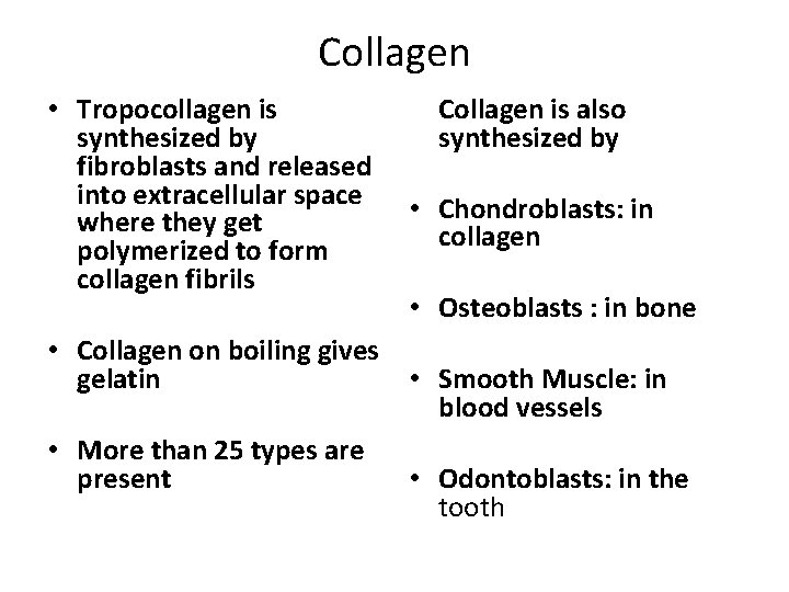 Collagen • Tropocollagen is synthesized by fibroblasts and released into extracellular space where they