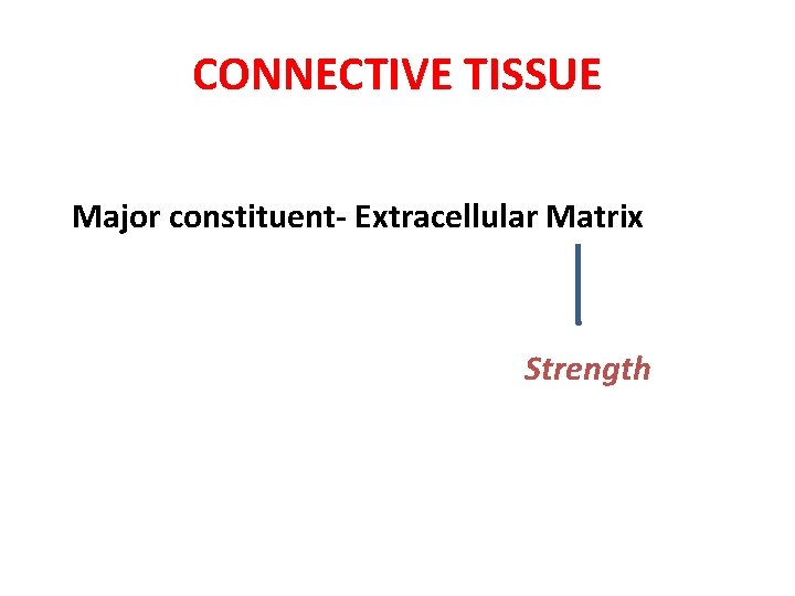 CONNECTIVE TISSUE Major constituent- Extracellular Matrix Strength 