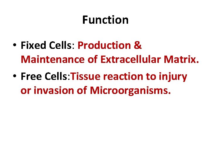 Function • Fixed Cells: Production & Maintenance of Extracellular Matrix. • Free Cells: Tissue
