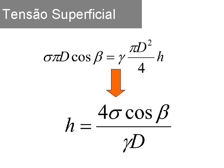 Tensão Superficial 