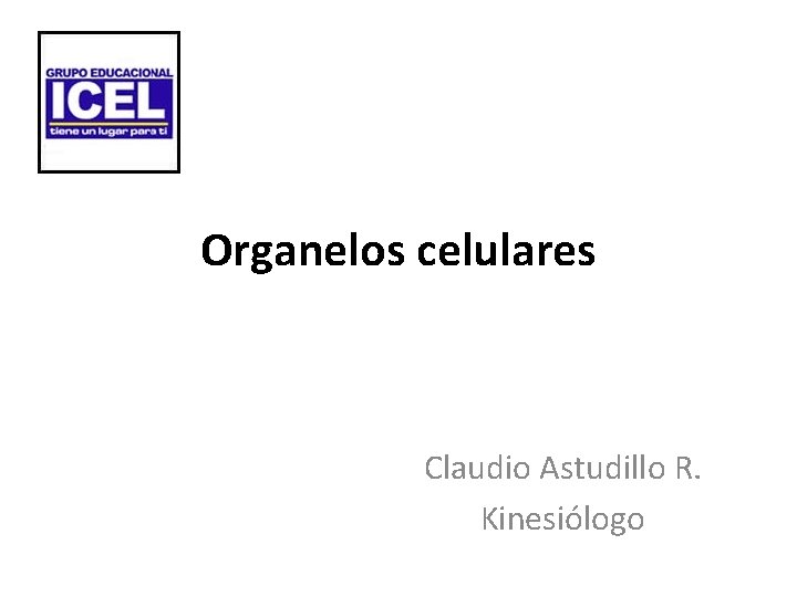 Organelos celulares Claudio Astudillo R. Kinesiólogo 