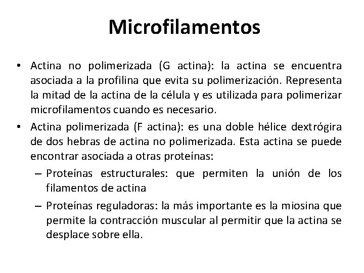 Microfilamentos • Actina no polimerizada (G actina): la actina se encuentra asociada a la