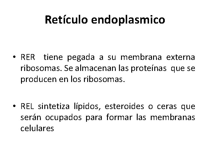 Retículo endoplasmico • RER tiene pegada a su membrana externa ribosomas. Se almacenan las