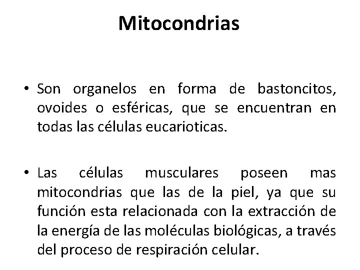 Mitocondrias • Son organelos en forma de bastoncitos, ovoides o esféricas, que se encuentran