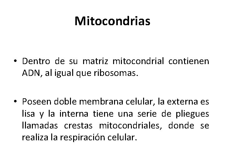 Mitocondrias • Dentro de su matriz mitocondrial contienen ADN, al igual que ribosomas. •