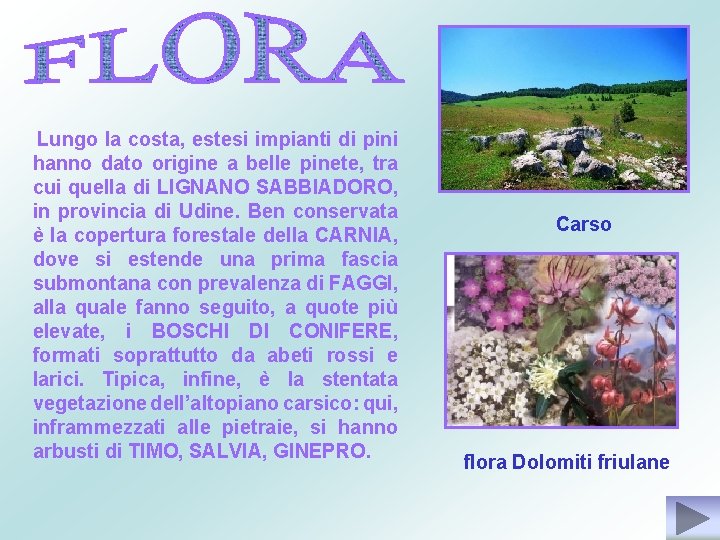 Lungo la costa, estesi impianti di pini hanno dato origine a belle pinete, tra