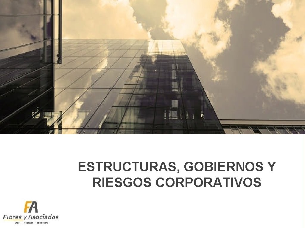 ESTRUCTURAS, GOBIERNOS Y RIESGOS CORPORATIVOS 