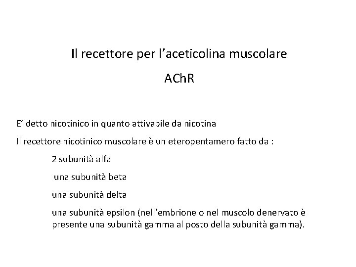 Il recettore per l’aceticolina muscolare ACh. R E’ detto nicotinico in quanto attivabile da