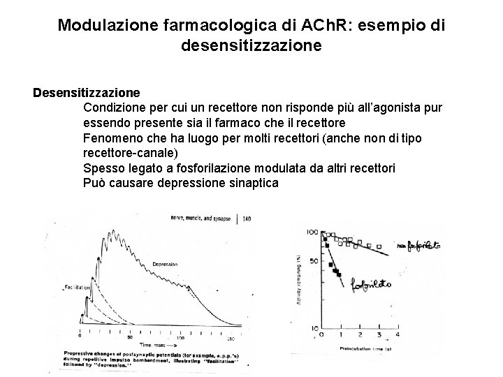 Modulazione farmacologica di ACh. R: esempio di desensitizzazione Desensitizzazione Condizione per cui un recettore