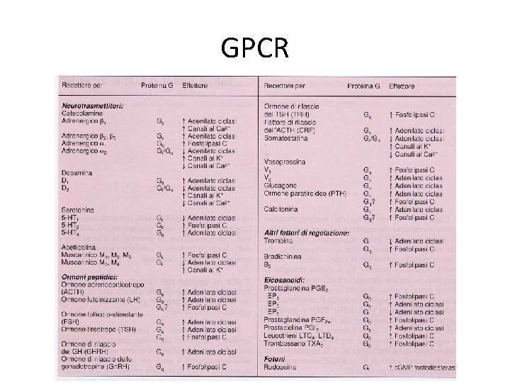 GPCR 