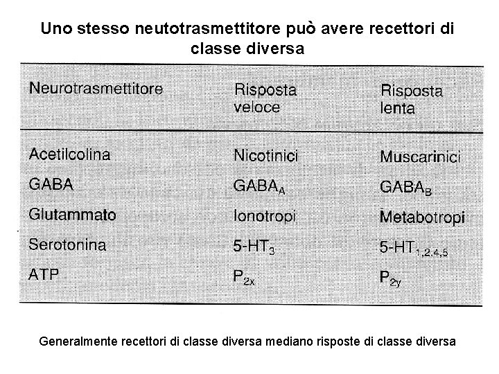 Uno stesso neutotrasmettitore può avere recettori di classe diversa Generalmente recettori di classe diversa