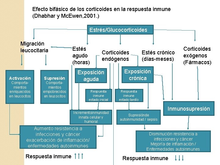 Efecto bifásico de los corticoides en la respuesta inmune (Dhabhar y Mc. Ewen, 2001.
