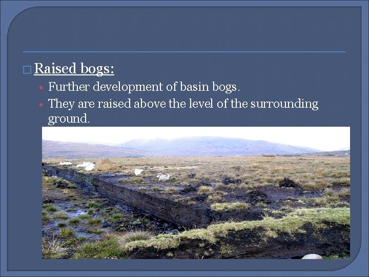 � Raised bogs: • Further development of basin bogs. • They are raised above