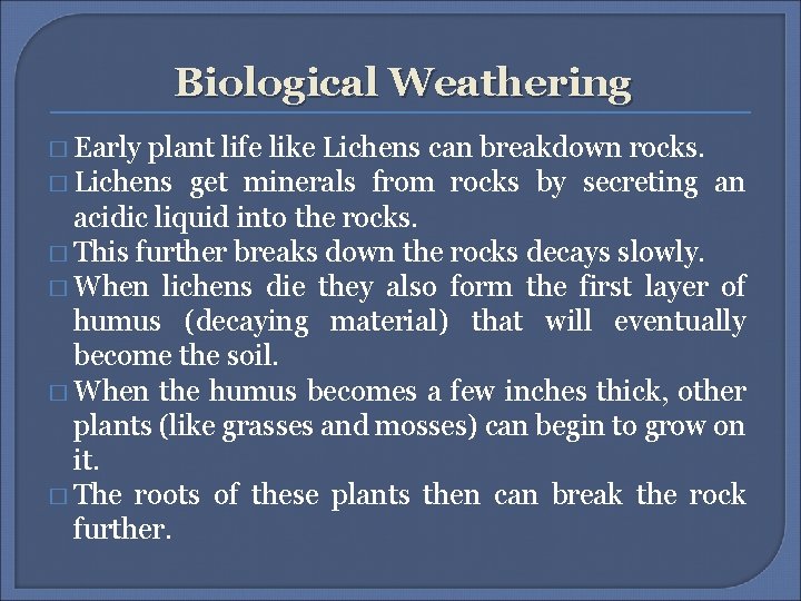 Biological Weathering � Early plant life like Lichens can breakdown rocks. � Lichens get