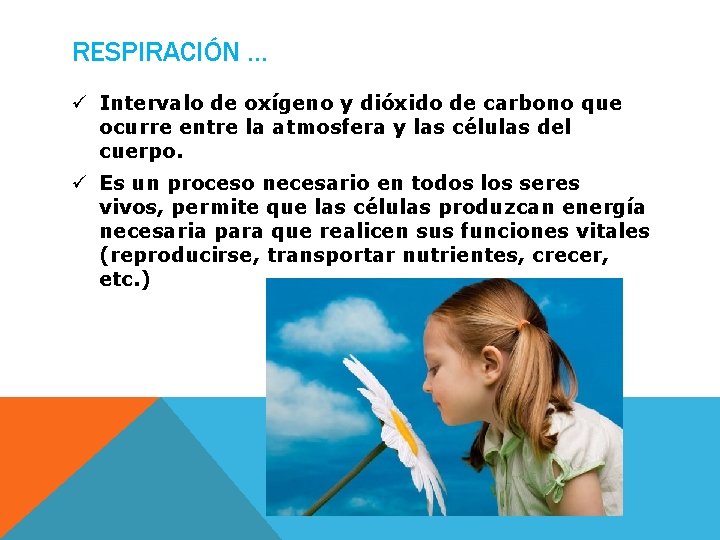 RESPIRACIÓN … ü Intervalo de oxígeno y dióxido de carbono que ocurre entre la