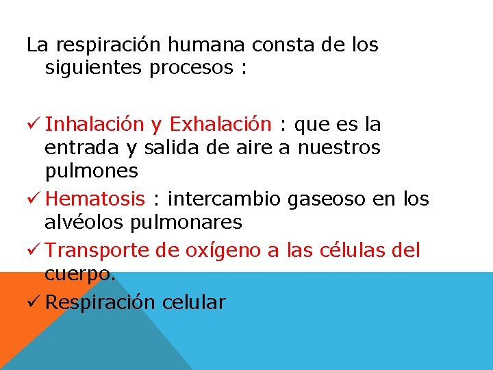 La respiración humana consta de los siguientes procesos : ü Inhalación y Exhalación :