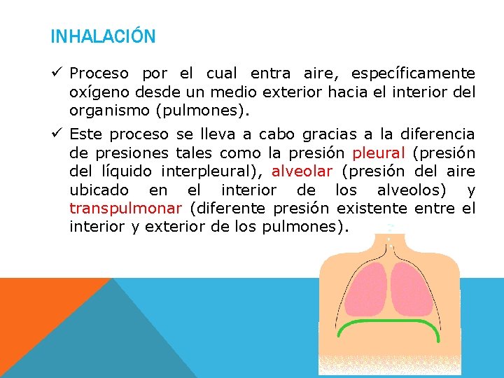 INHALACIÓN ü Proceso por el cual entra aire, específicamente oxígeno desde un medio exterior