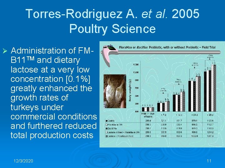 Torres-Rodriguez A. et al. 2005 Poultry Science Ø Administration of FMB 11 TM and