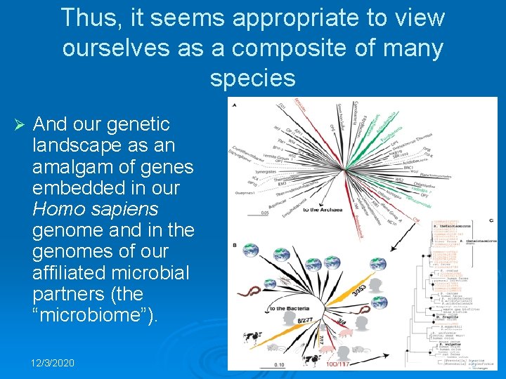 Thus, it seems appropriate to view ourselves as a composite of many species Ø