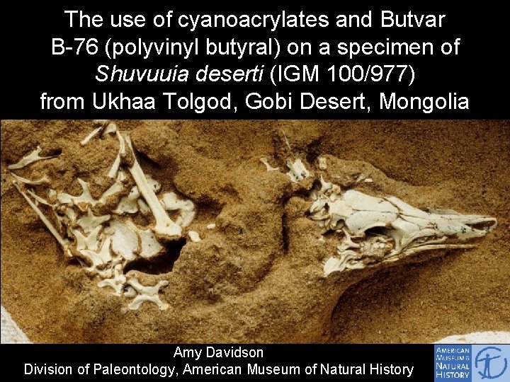 The use of cyanoacrylates and Butvar B-76 (polyvinyl butyral) on a specimen of Shuvuuia