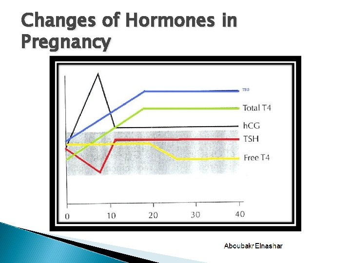 Changes of Hormones in Pregnancy 