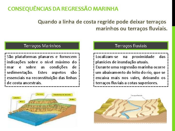 CONSEQUÊNCIAS DA REGRESSÃO MARINHA Quando a linha de costa regride pode deixar terraços marinhos