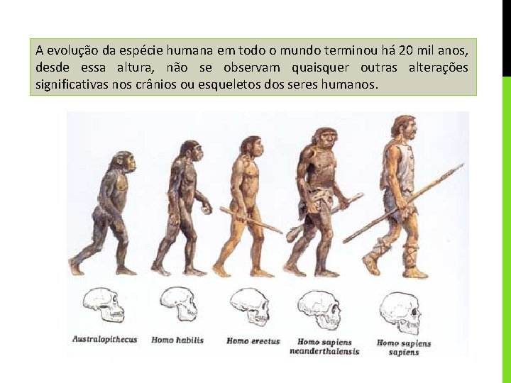 A evolução da espécie humana em todo o mundo terminou há 20 mil anos,