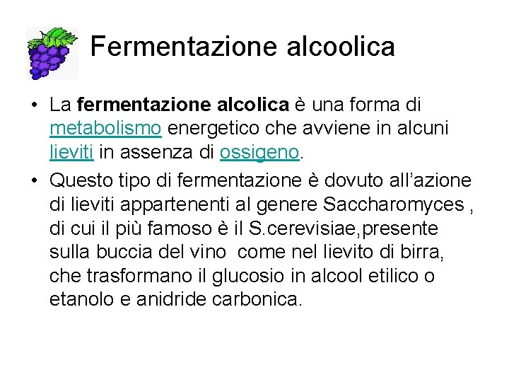 Fermentazione alcoolica • La fermentazione alcolica è una forma di metabolismo energetico che avviene