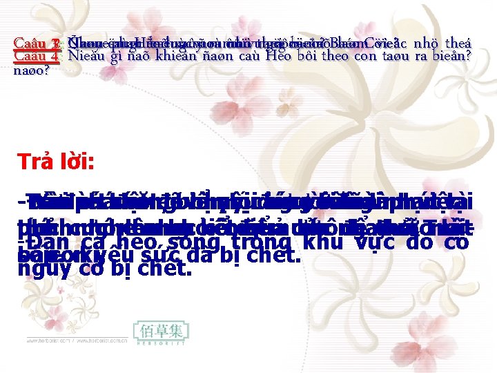 Taøu caù phaù baêng ngöôøi ñaõBaéc laøm. Cöïc? vieäc nhö theá Caâu 132: : Taøu caù phaù baêng ngöôøi ñaõBaéc laøm. Cöïc? vieäc nhö theá Caâu 132: :