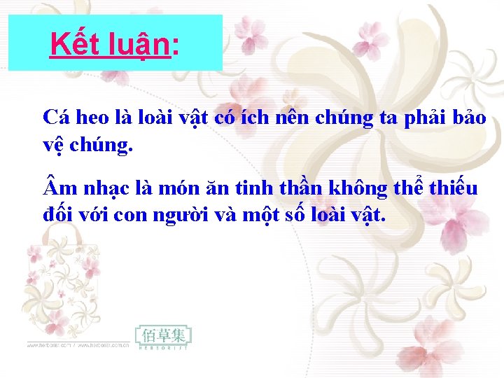 Kết luận: Cá heo là loài vật có ích nên chúng ta phải bảo Kết luận: Cá heo là loài vật có ích nên chúng ta phải bảo