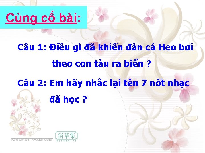 Củng cố bài: Câu 1: Điều gì đã khiến đàn cá Heo bơi theo Củng cố bài: Câu 1: Điều gì đã khiến đàn cá Heo bơi theo