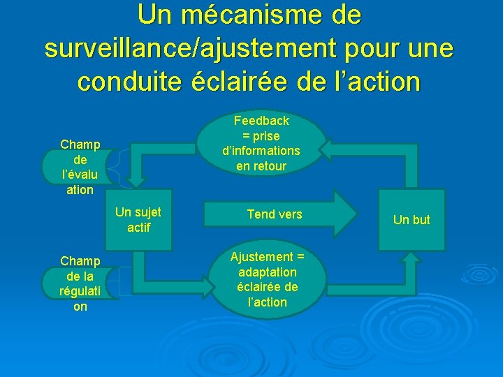 Un mécanisme de surveillance/ajustement pour une conduite éclairée de l’action Feedback = prise d’informations