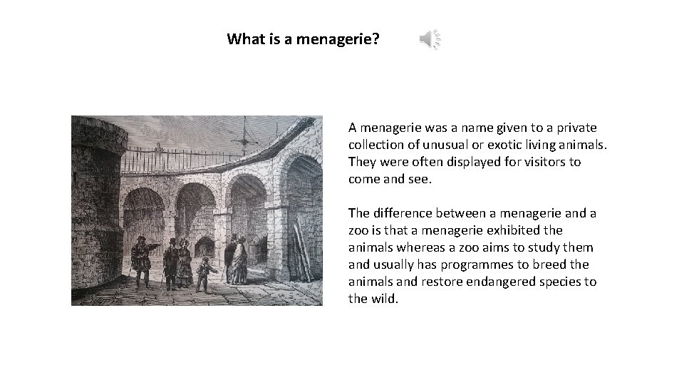 What is a menagerie? A menagerie was a name given to a private collection