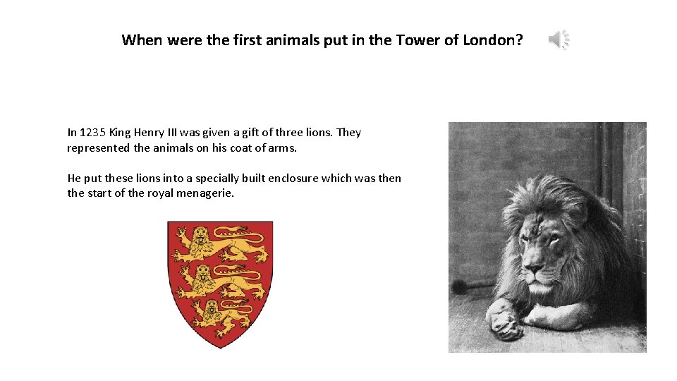 When were the first animals put in the Tower of London? In 1235 King