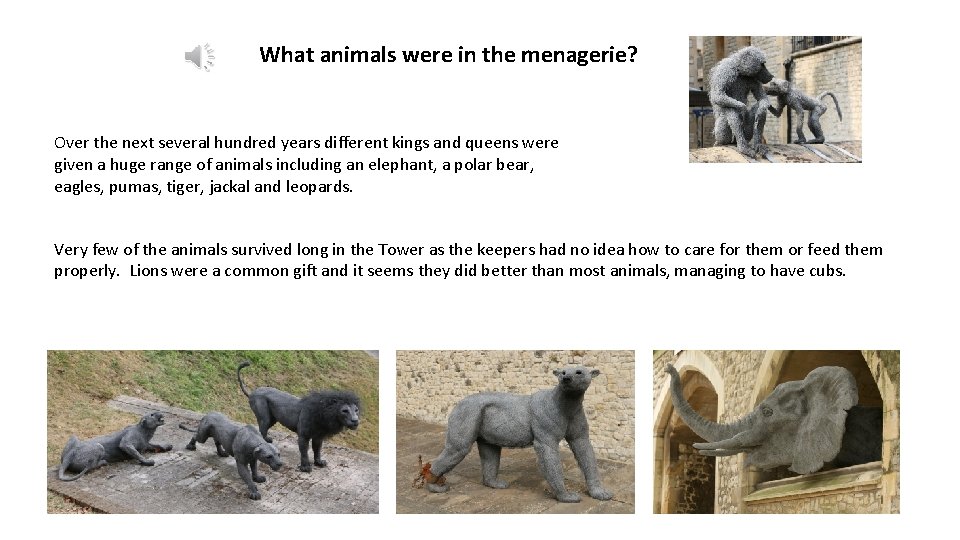 What animals were in the menagerie? Over the next several hundred years different kings