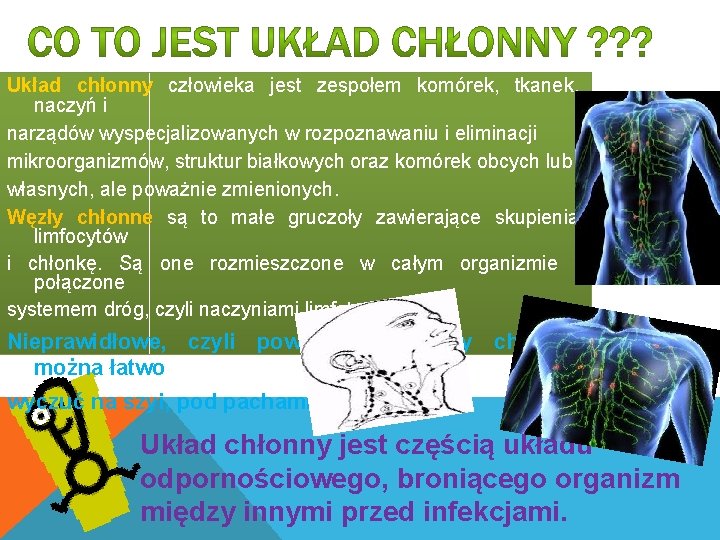 Układ chłonny człowieka jest zespołem komórek, tkanek, naczyń i narządów wyspecjalizowanych w rozpoznawaniu i