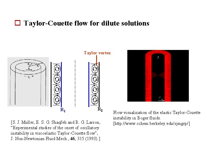 o Taylor-Couette flow for dilute solutions Taylor vortex R 1 R 2 [S. J.