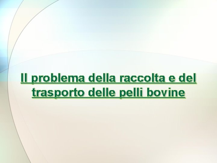 Il problema della raccolta e del trasporto delle pelli bovine 