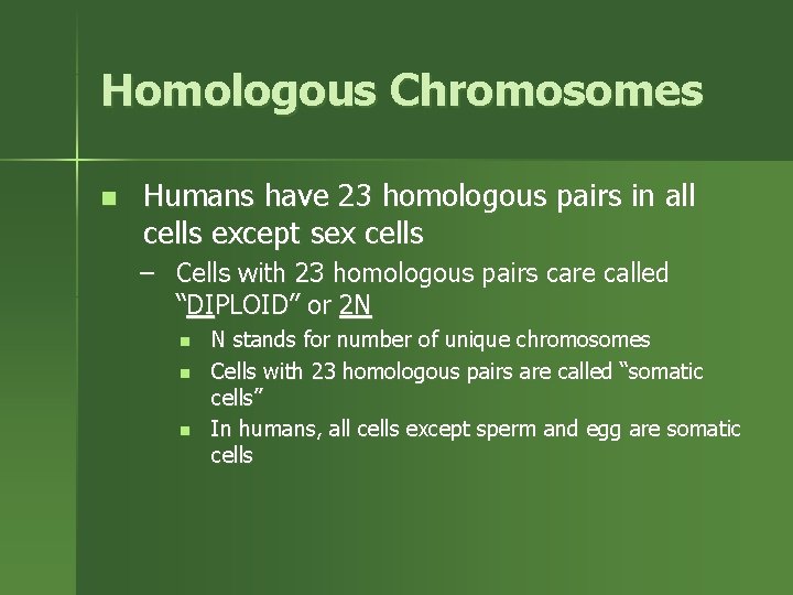 Homologous Chromosomes n Humans have 23 homologous pairs in all cells except sex cells