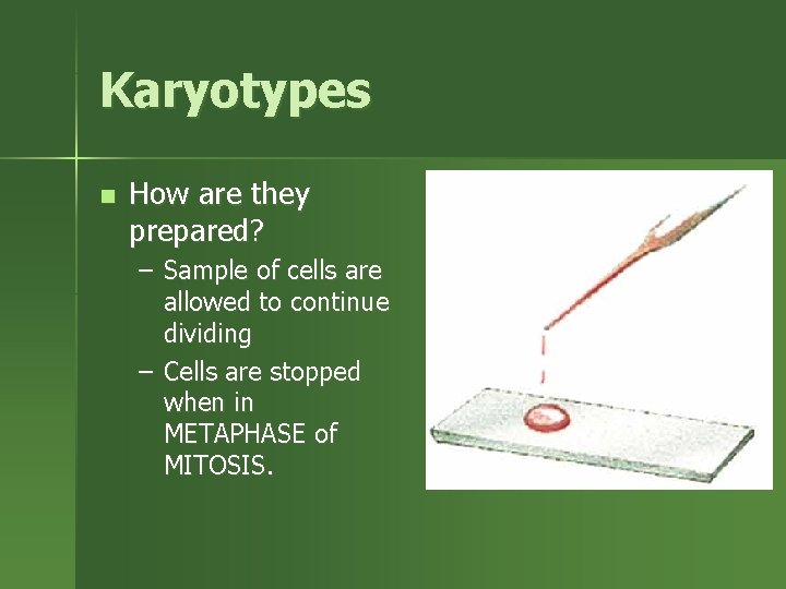 Karyotypes n How are they prepared? – Sample of cells are allowed to continue